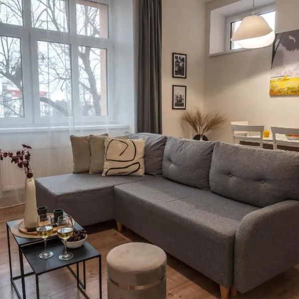 Apartmán u Výstaviště，位于奥洛穆茨的酒店