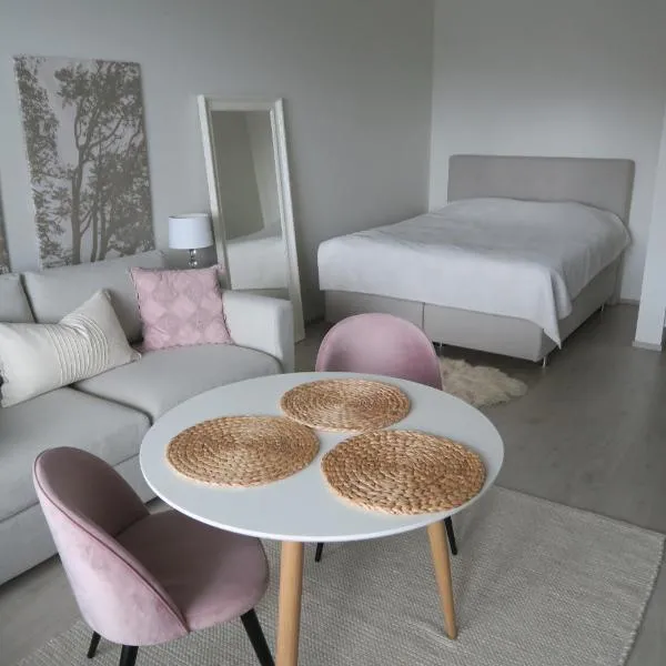 Ihana yksiö Kangasalan Harjunsalossa，位于康阿斯阿拉的酒店