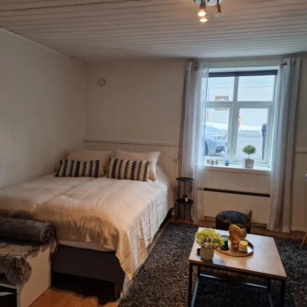 Harstad city studio apartment B.，位于哈尔斯塔的酒店
