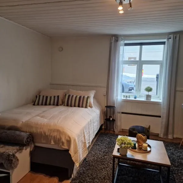 Harstad city studio apartment B.，位于Leirvåg的酒店