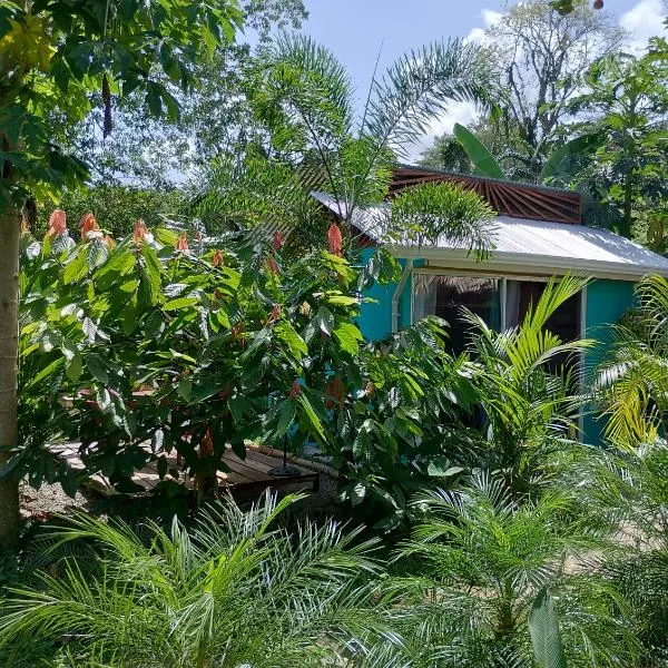 El Tucán Feliz - Jungle tiny guest house by Playa Cocles，位于科克莱斯的酒店