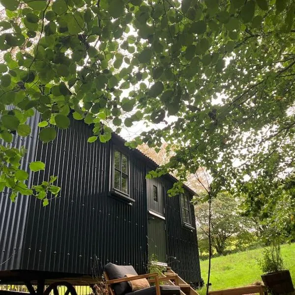 Cornwall Woodland Dog Friendly Shepherd's Hut，位于帕兹托的酒店