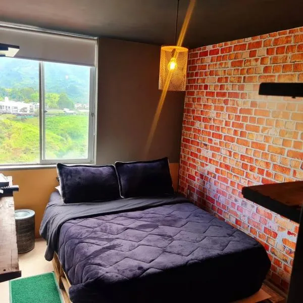 Acogedor Apartamento Norte，位于锡卡西亚的酒店