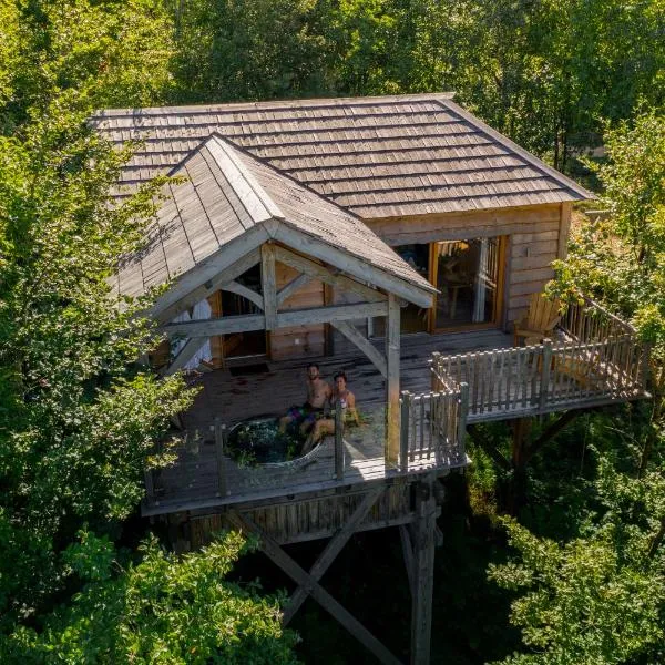 Cabanes du Hérisson, cabanes perchées de standing avec spa，位于Châtel-de-Joux的酒店