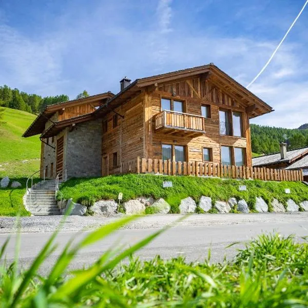 Chalet Dolce Vita，位于利维尼奥的酒店