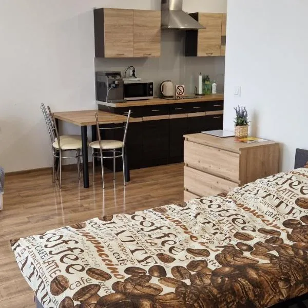 Apartament Słoneczny，位于Chwarszczany的酒店