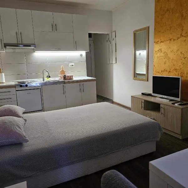 Apartmani Borko 1-1，位于洛兹尼察的酒店
