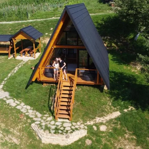 A Frame Cabin - Valea Vinului，位于Vişeu de Mijloc的酒店
