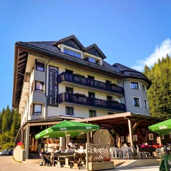 Biker Hotel Al Gallo Forcello，位于纳斯费尔德山口的酒店