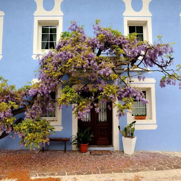 The Blue House，位于托尔明的酒店