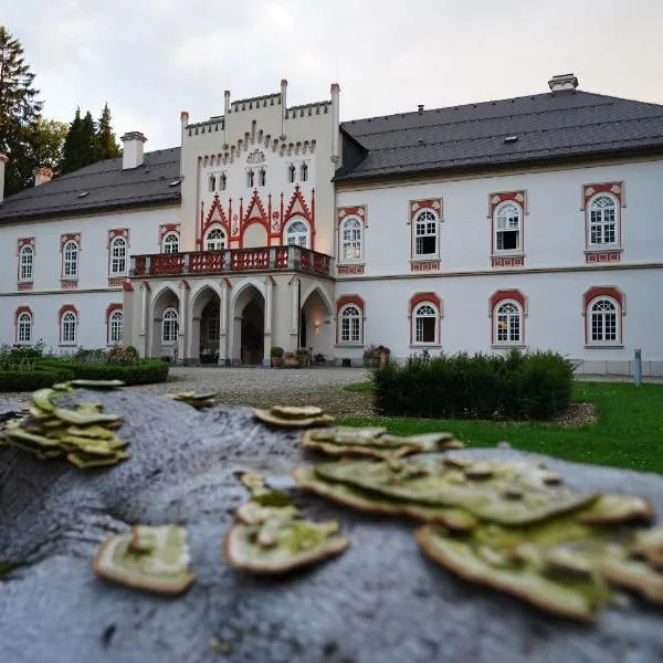 欧舒丹赫拉莱茨城堡精品酒店及水疗中心，位于Komorovice的酒店