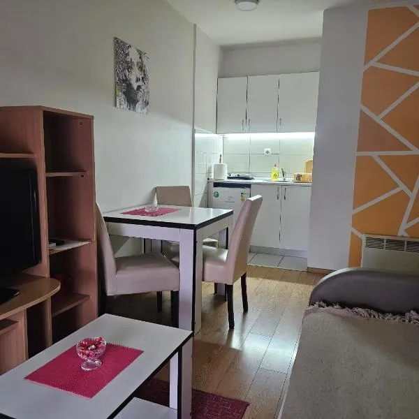 Apartmani Borko 3-2，位于洛兹尼察的酒店