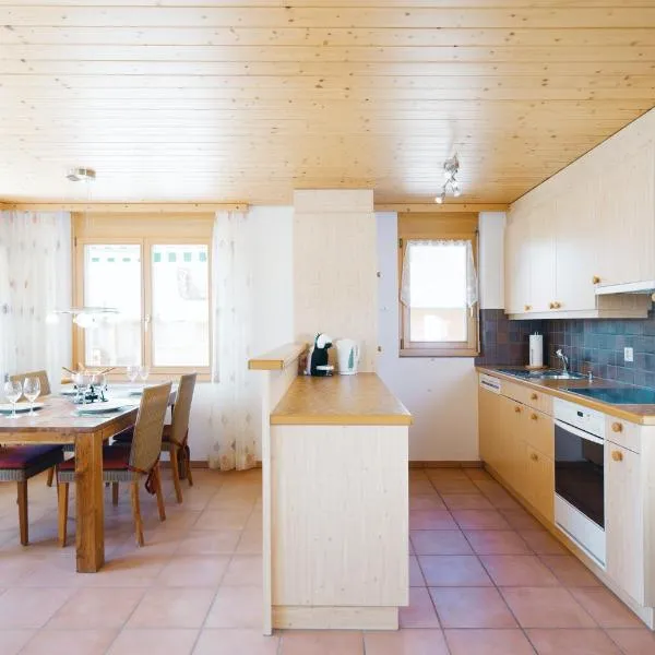 Apartment Brugg，位于艾姆敦的酒店