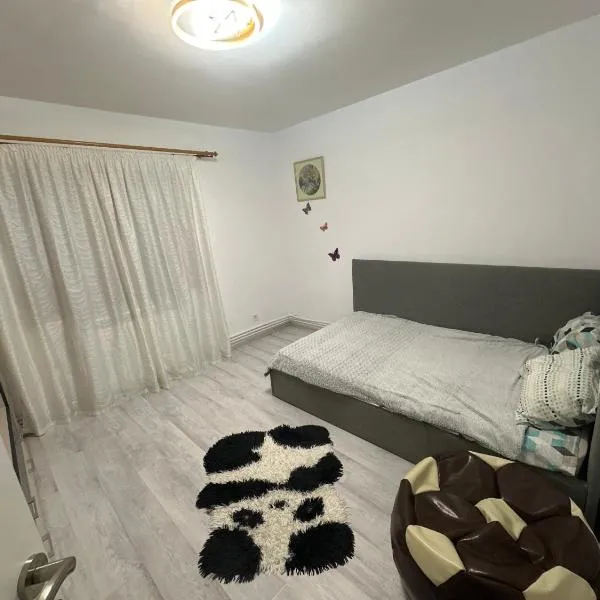 Apartament Sorin，位于图尔恰的酒店