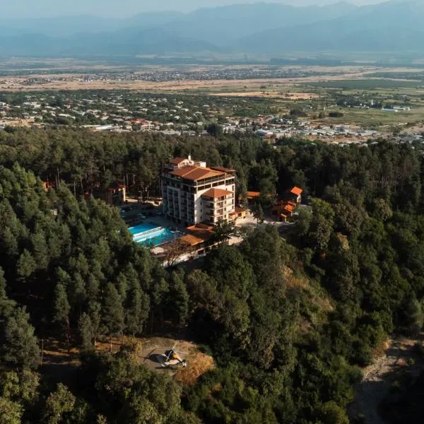 Zuzumbo Resort & Spa，位于Zemo Khodasheni的酒店