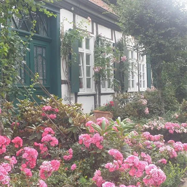 Rosindell cottage，位于哈雷威斯特法伦的酒店