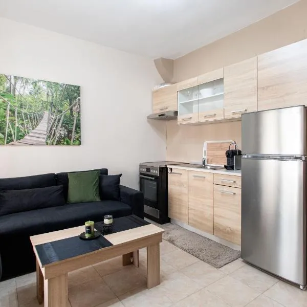 Unique Apartment，位于亚历山德鲁波利斯的酒店