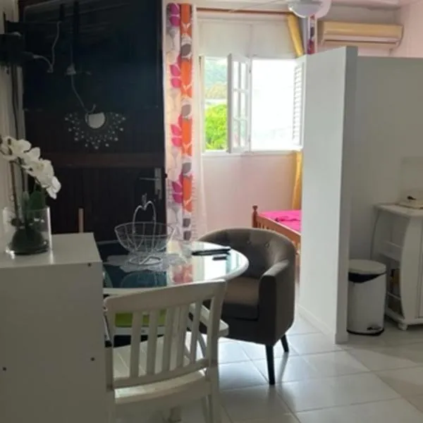 Appartement F2 ROSALINDA，位于萨莱比梅的酒店