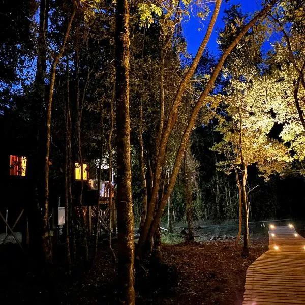 Cabañas Los Glaciares，位于柯纳里佩的酒店