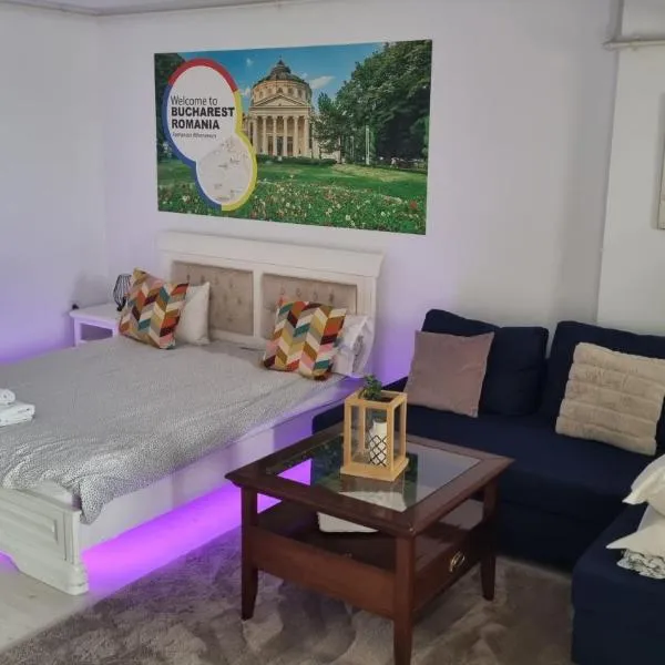 Airport Residence Studio 401，位于奥托佩尼的酒店