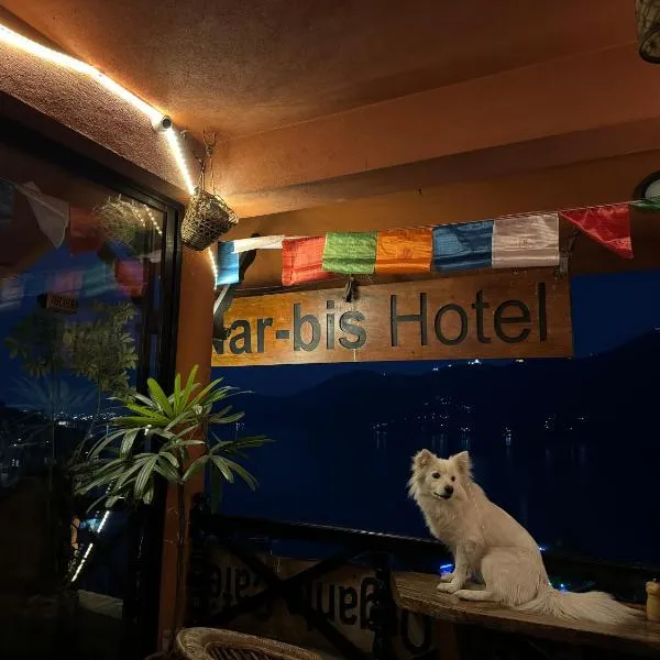 纳比斯酒店，位于博卡拉的酒店