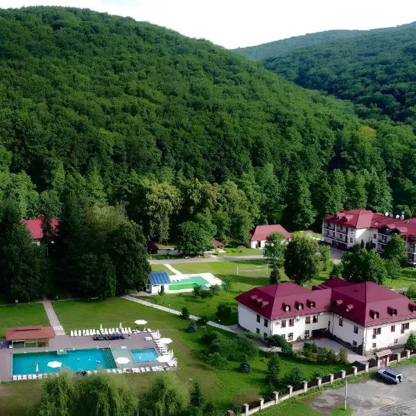 Bogolvar Retreat Resort，位于Tur'ya Pasika的酒店