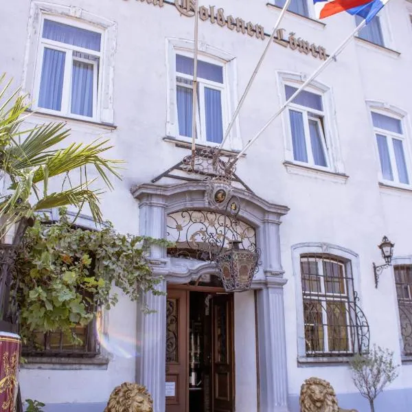 金狮酒店，位于圣戈阿尔的酒店