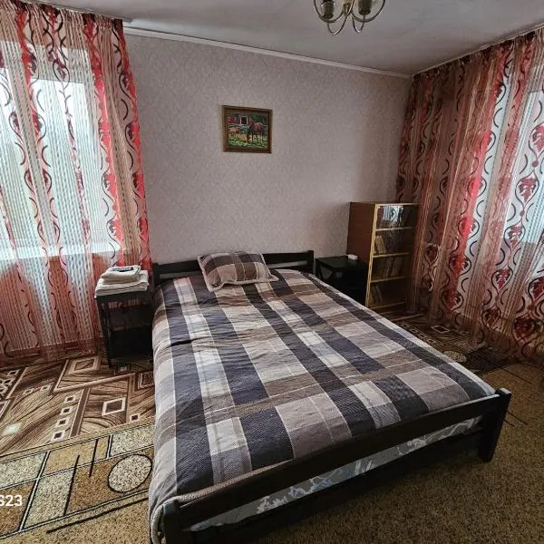 Retro apartament，位于Ştefan-Vodă的酒店
