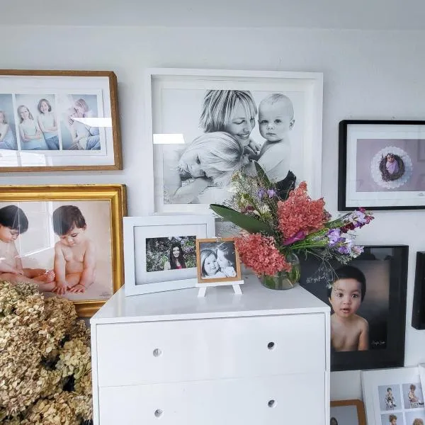 Artist Photographers Home Studio，位于奥克兰的酒店