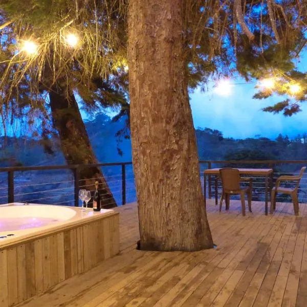 Tree House, Cabaña privada con Jacuzzi，位于瓜塔佩的酒店