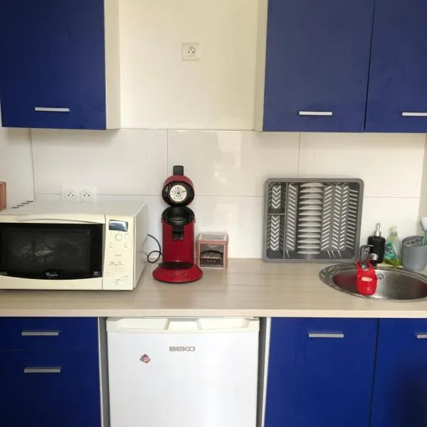 Logement entier，位于Aussonne的酒店