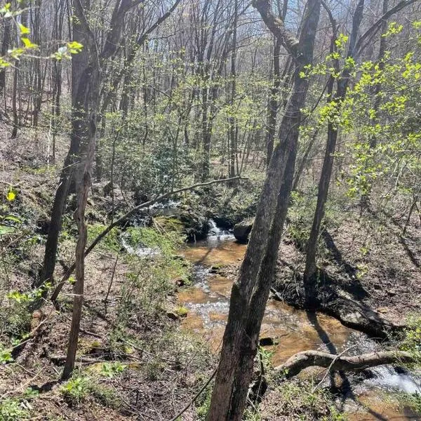 Hilltop Haven w/Creek&Waterfall Dntwn McCaysville，位于McCaysville的酒店