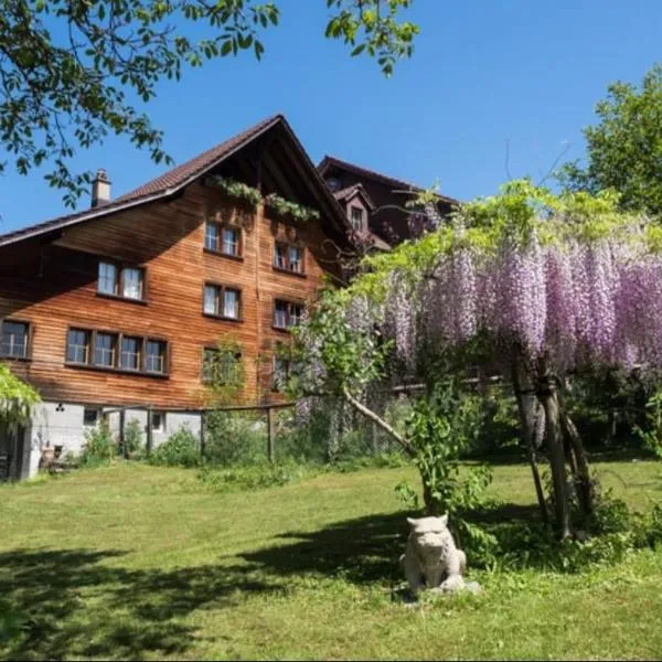 LilaLila Lodge，位于Sankt Peterzell的酒店