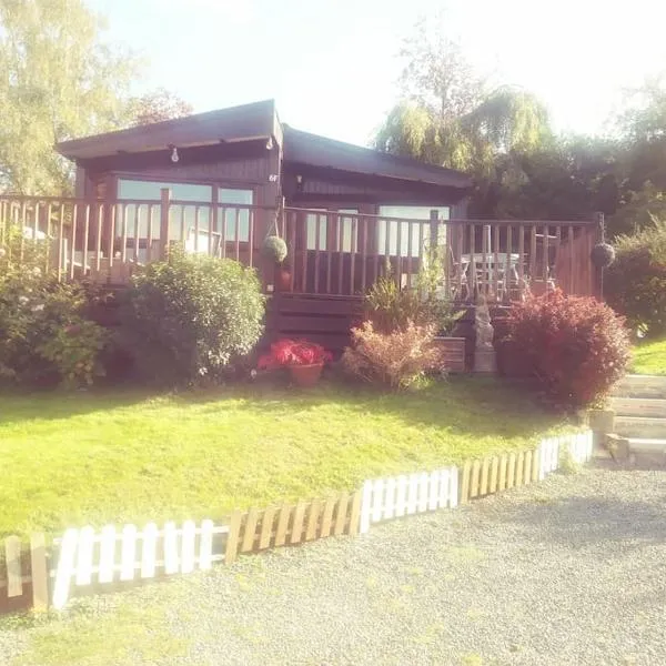 Anne's Lodge Caerberis Holiday Park, dog friendly，位于比尔斯韦尔斯的酒店