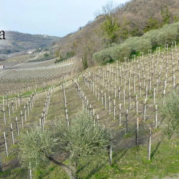 AltaVista，位于Ari的酒店