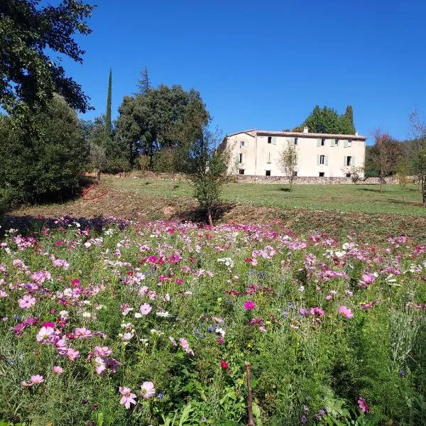 Les Jardins de Falguière，位于圣让迪加尔的酒店