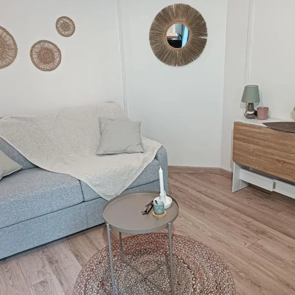 Studio totalement meublé Le nordique，位于Homécourt的酒店