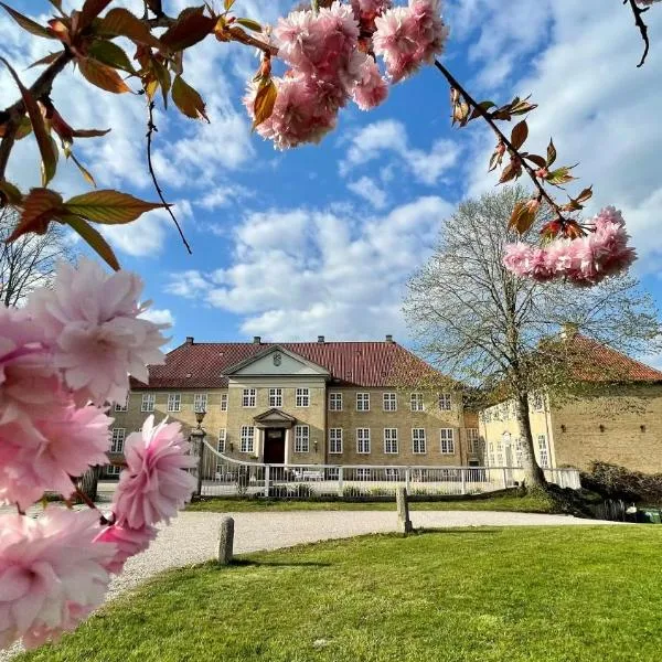 Skjoldenæsholm Slot，位于Kirke Eskilstrup的酒店