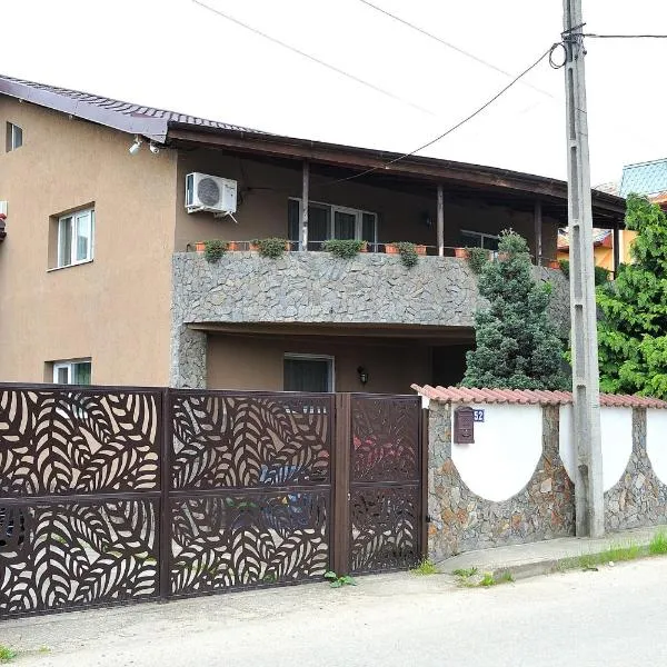 Casa Cri și Ramo,位于Bradu的酒店