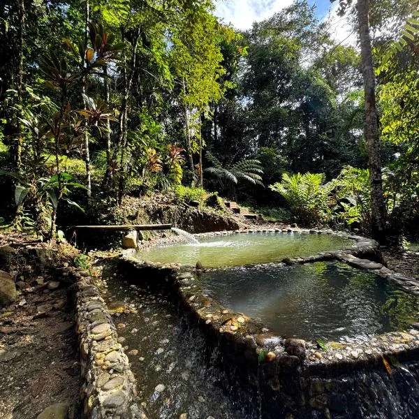 Wisdom Forest Lodge，位于特纳的酒店