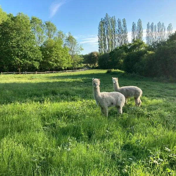 Dragonfly Lodge Ifold & Alpaca My Tipi Glamping，位于法纳姆的酒店