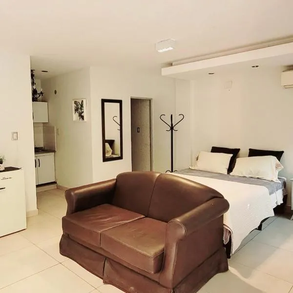 -AMBIENTE BOTIQUE- Tu lugar ideal-，位于圣地亚哥-德尔埃斯特罗的酒店