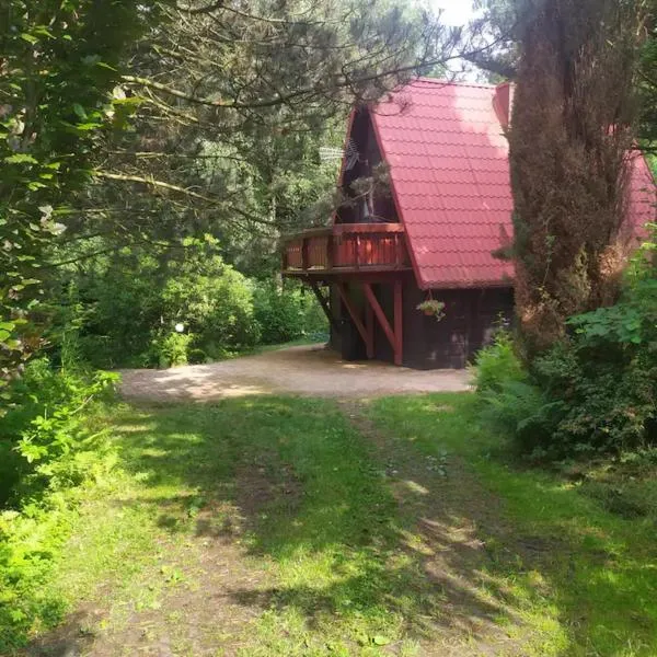 Cottage in the picturesque Beskid Maly Mountains，位于Bierna的酒店