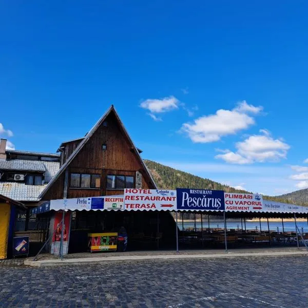 Hotel Pescarus Port Bicaz，位于伊兹沃鲁山的酒店