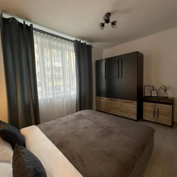 Cozy Apartment Sfanta Vineri Zalau，位于Ciumârna的酒店