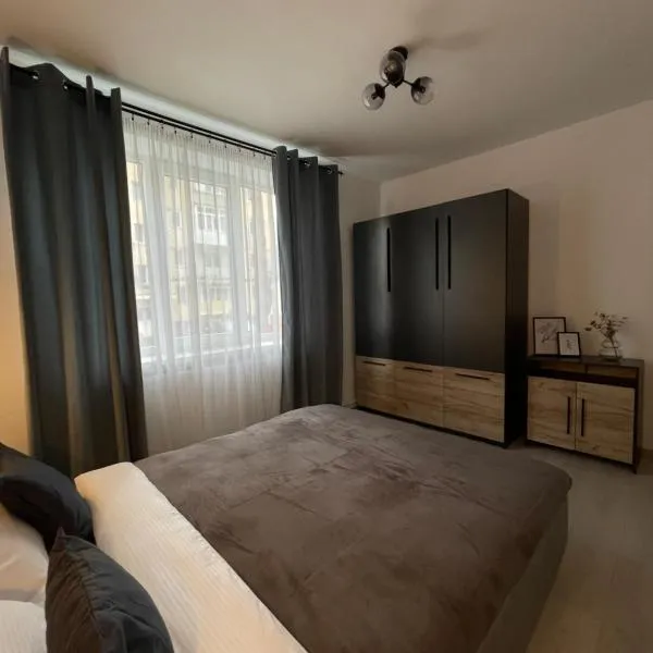 Cozy Apartment Sfanta Vineri Zalau，位于Brebi的酒店
