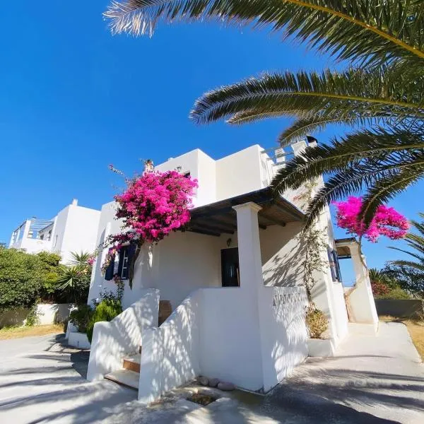 Nereid Skyros House，位于斯基罗斯岛的酒店