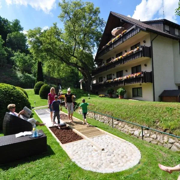 普隆德菲磨坊乡村酒店，位于Neubulach的酒店