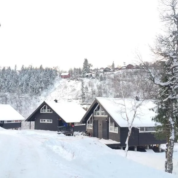 Kvamskogen & Hardanger Holliday homes，位于Bjørkheim的酒店