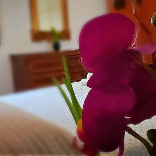Sieve Flower，位于Petrognano的酒店